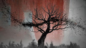 Шеннон, навсегда кадр 2 онлайн-кинотеатр Эмбликс