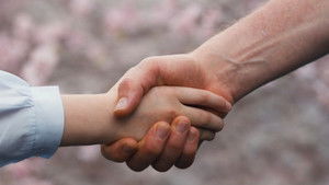 Семья в аренду кадр 24 онлайн-кинотеатр Эмбликс