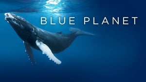 BBC: Голубая планета кадр 2