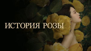 История розы кадр 8 на Эмбликс в Hd