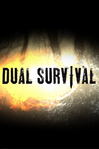 Сезон 8