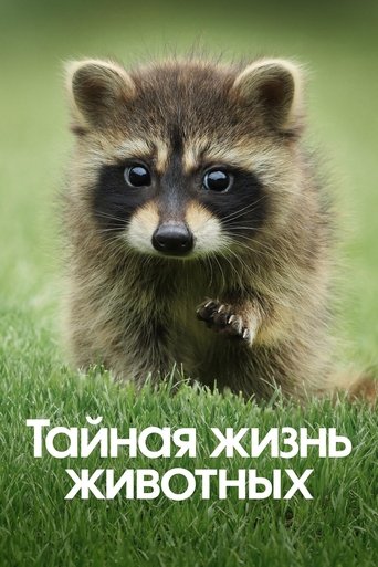 Сезон 1