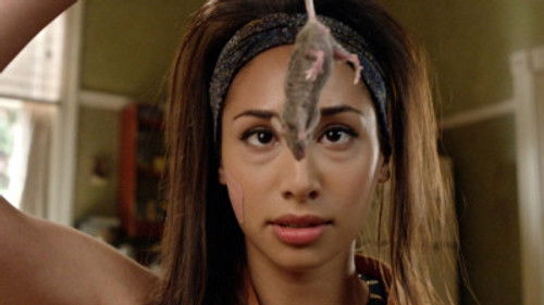 О мышах и оборотнях