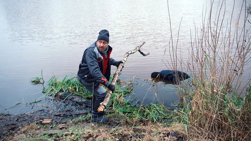 Пикник на обочине