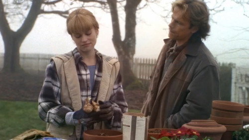 Осветить тебя светом