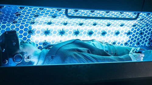 Позднее шоу живых мертвецов