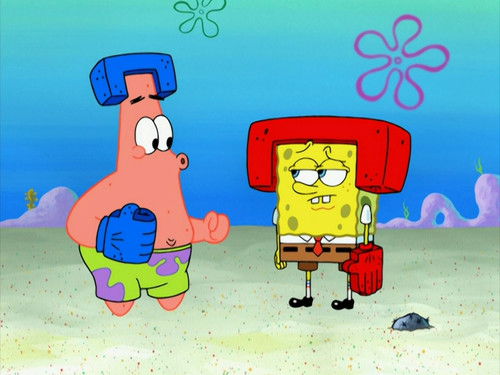 Звезда каратэ