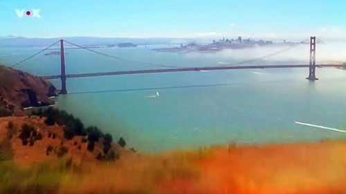 Парень из ФБР