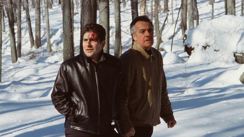 Пайн Бэрренс