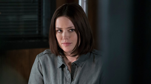 Алистер Питт