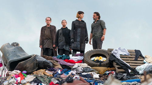 Новые лучшие друзья