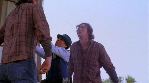 Воскресным утром