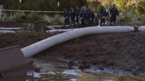 Девушка в озере