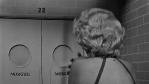 Двадцать два