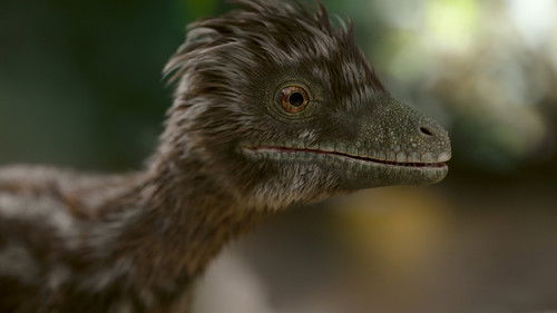 Становление