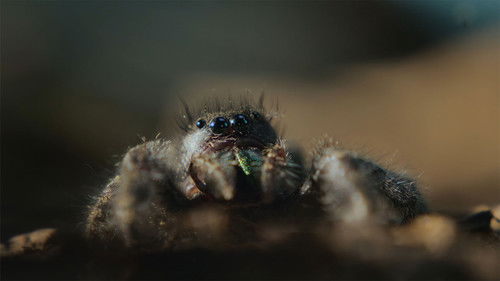 Глава вторая: В ловушке