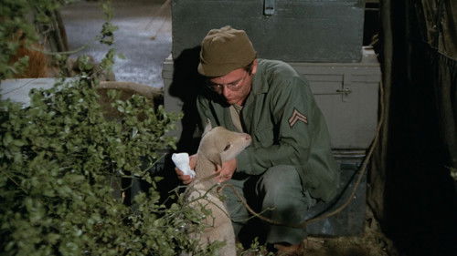 Рядовой Чарльз Ягнёнок