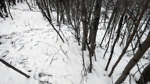 Эпизод 9