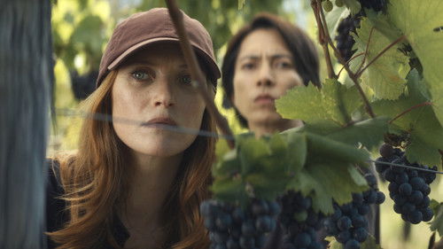 Происхождение