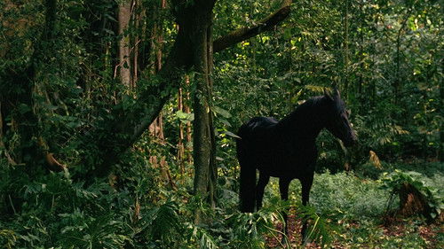 Что сделала Кейт