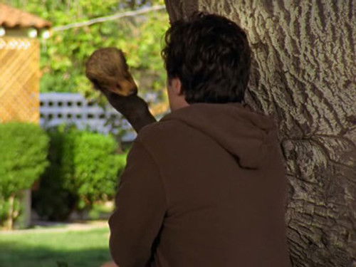 Моя Большая Птица