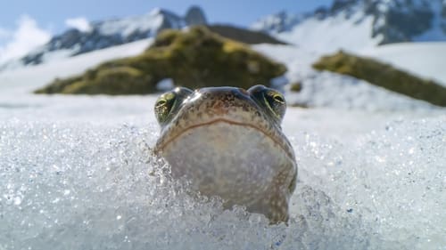 Экстремальные места