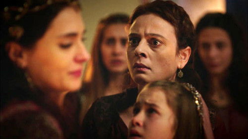 Раненая птица