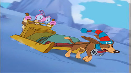 Загадка Арктики