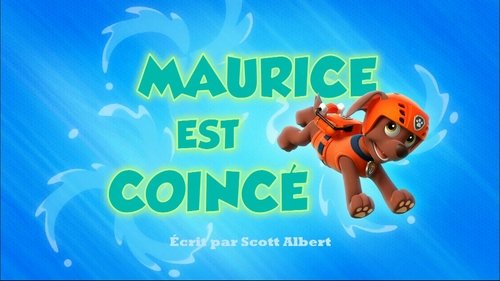 Щенки спасают моржа