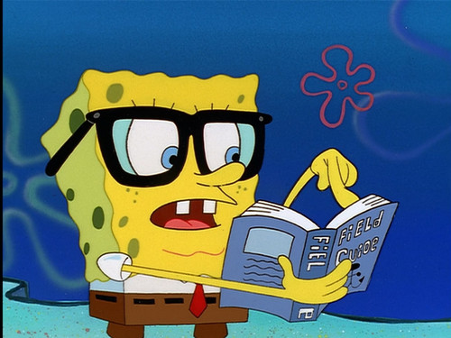 Чаепитие под куполом