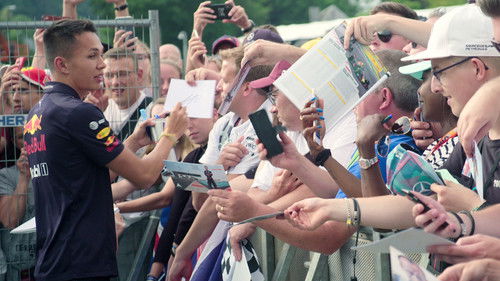 Бешеные быки