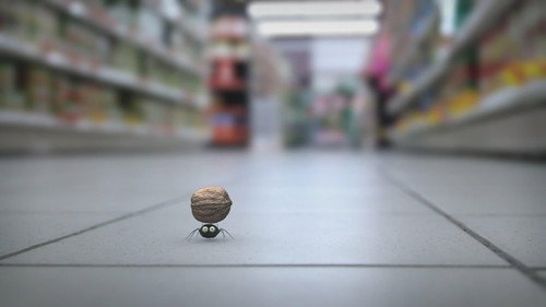 Кража в магазине