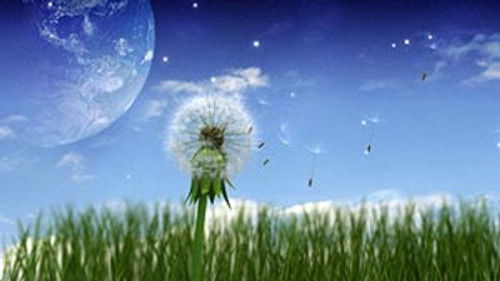 Как мы очутились здесь?