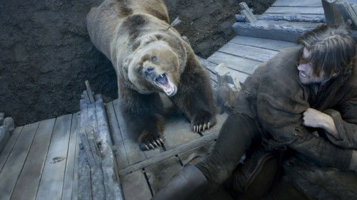 Медведь и прекрасная дева