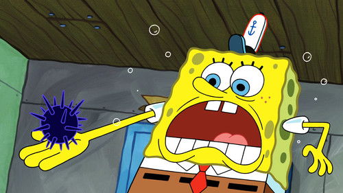 Морской ёж!