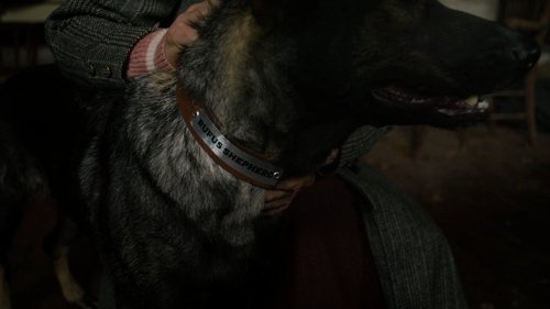 Эпизод 7