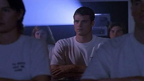 Кто направляет птиц?