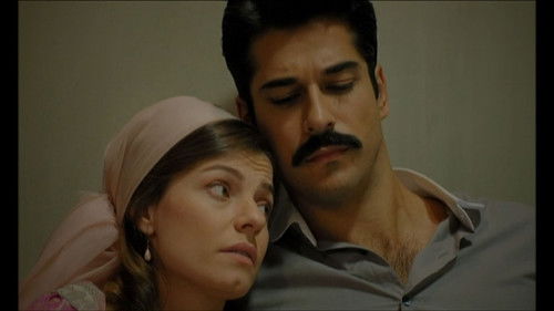 Любимые раны оставляют шрамы