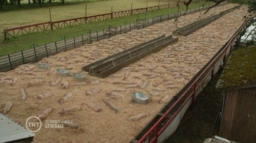 Дело о провокации