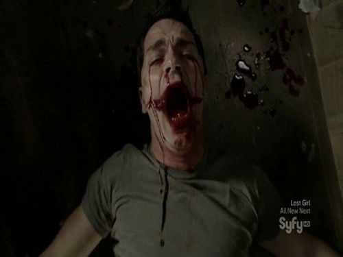 Сон, который построил жнец