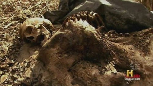 Пришельцы и гиблые места