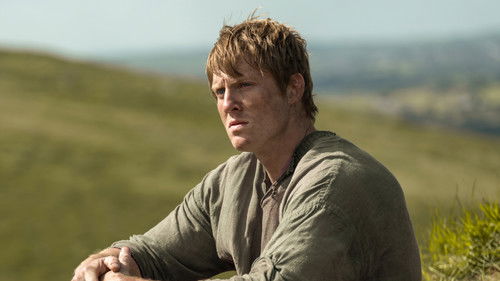 Межевой рыцарь