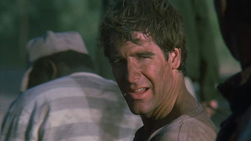 Освобожденный