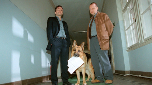 Допинг