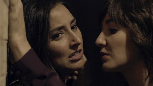 В городе ярости