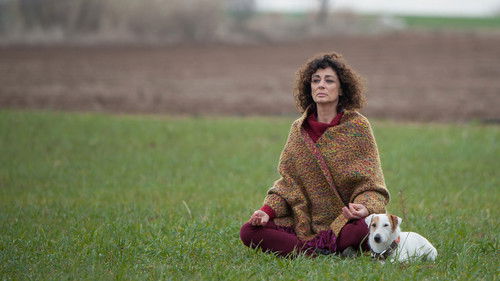 Друзья познаются в беде