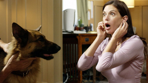 Сюрпризы нашей жизни