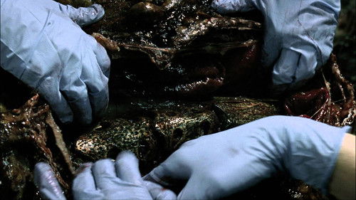 То что внутри нас