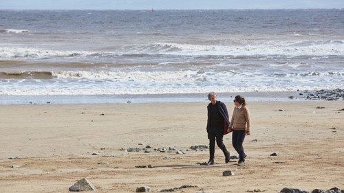 Преображение зайгонов