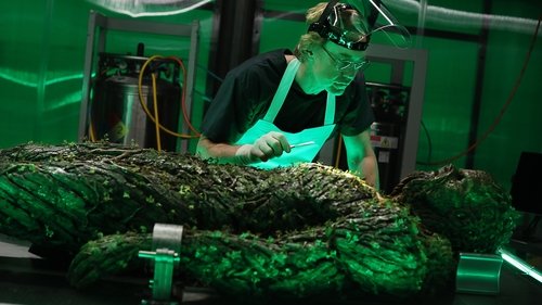 Урок анатомии